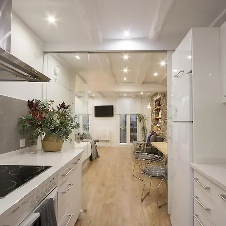 Zoe By Oldtown Ss Apartment San Sebastian
